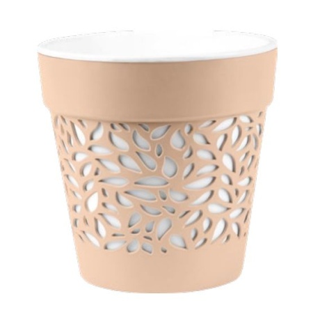 3326d279-da2f-11ef-8915-246e9611e8f5-1