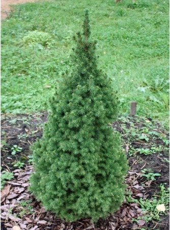 11f21f35-c10a-11ef-8915-246e9611e8f5-1