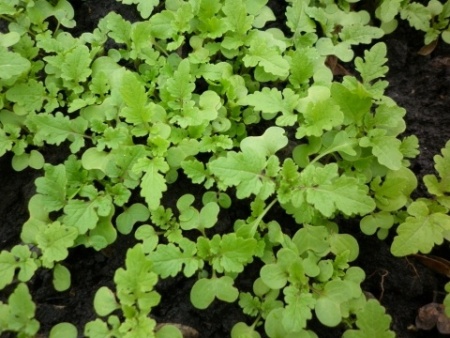 47053be0-564f-11e5-a7b4-001e673ebdea-1