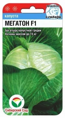 2a33e80e-c1a9-11ea-86cc-005056c00008-1