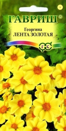 1e9b9319-c608-11de-87ad-0019dbe91ea3-1