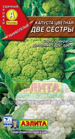 d18ad6cc-296c-11e0-9fb4-00500454e615-1