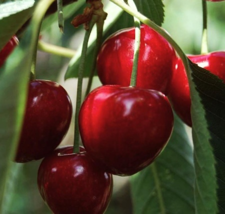 900167ad-bebb-11f0-891d-246e9611e8f7-1