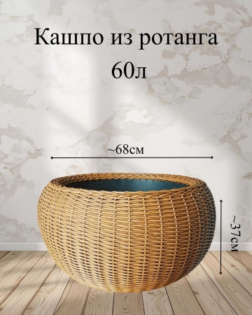ede68437-da86-11f0-891e-246e9611e8f6-3