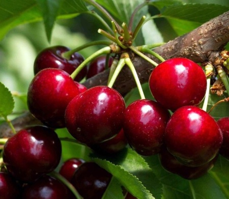 a3c1baa6-be50-11f0-891d-246e9611e8f7-1