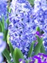6d36c93f-5ba4-11ef-8910-246e9611e8f6-1