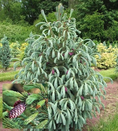 a1528408-d121-11f0-891e-246e9611e8f6-1