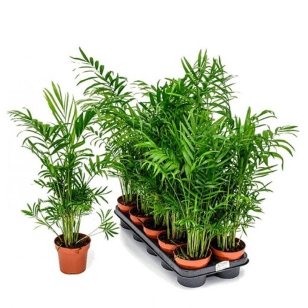 539856d3-d233-11ee-890a-246e9611e8f5-1