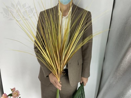 d2dc2edc-5a5c-11f0-891b-246e9611e8f7-1