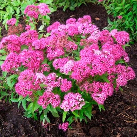 59914b24-a341-11eb-93b3-005056c00008-1