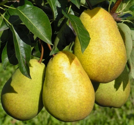 5e0b7857-be31-11f0-891d-246e9611e8f7-1