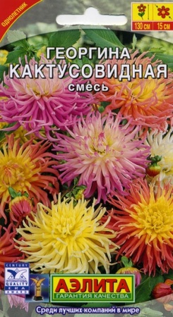 70f41b13-dcea-11dd-9138-00500454e615-2