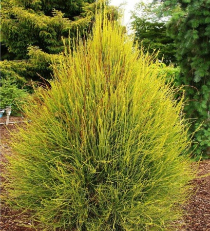 27050112-e689-11ee-890a-246e9611e8f5-1