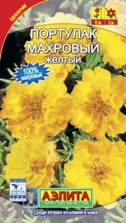 954d95ac-dcea-11dd-9138-00500454e615-2