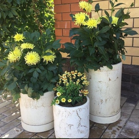 4b90d3af-f4b6-11ed-88b6-001e673ebdea-1