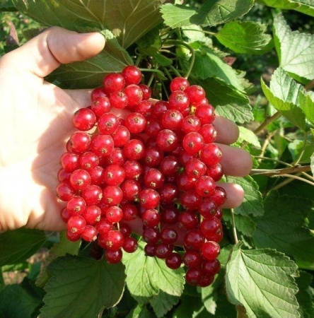 b53ce333-06d1-11ef-890b-246e9611e8f5-1