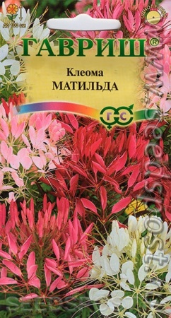 ea8a483c-f6eb-11e7-b46d-005056c00008-3