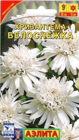 a74e37e6-dcea-11dd-9138-00500454e615-2