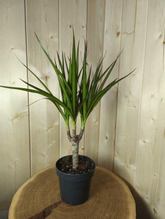 6e173111-ba58-11ec-aea7-005056c00008-1