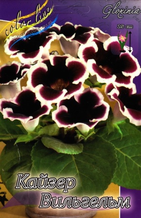 ecef0204-3740-11eb-b90a-005056c00008-2