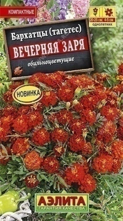 e5559f4e-1b23-11e9-aa57-005056c00008-2