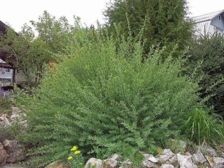 dd4bf546-5418-11f0-891a-246e9611e8f6-1