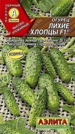 25af814f-f75d-11ea-b984-005056c00008-2 25af814f-f75d-11ea-b984-005056c00008-2