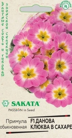 d9f8c523-5c6f-11eb-8873-005056c00008-1