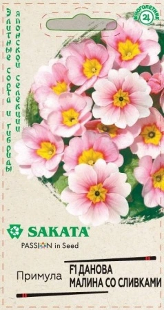 d9f8c523-5c6f-11eb-8873-005056c00008-2