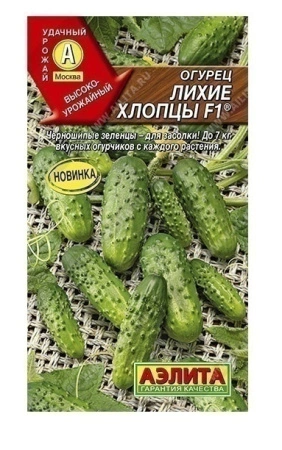 25af814f-f75d-11ea-b984-005056c00008-3 25af814f-f75d-11ea-b984-005056c00008-3