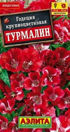 70f41b61-dcea-11dd-9138-00500454e615-1