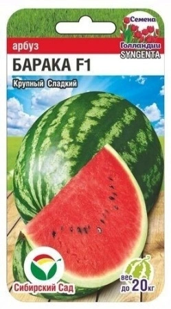 be522d7f-f375-11eb-a954-005056c00008-1 be522d7f-f375-11eb-a954-005056c00008-1