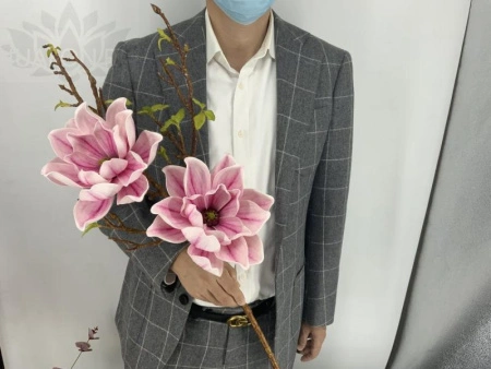 59e83672-5a62-11f0-891b-246e9611e8f7-1