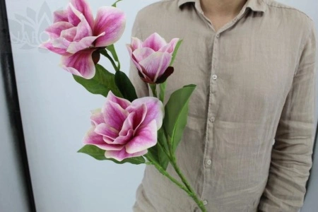 4f333f38-5a70-11f0-891b-246e9611e8f7-1