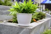 fdb7ee59-58e2-11ed-aea3-001e673ebdea-1