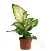 0ddcf0dc-4f12-11ef-8910-246e9611e8f6-1