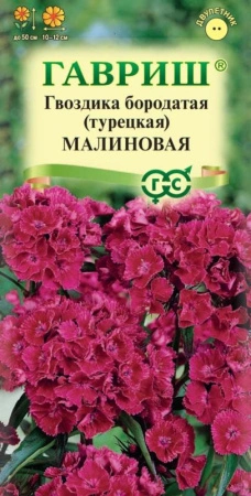 a79ec973-e7a5-11ea-86cc-005056c00008-1 a79ec973-e7a5-11ea-86cc-005056c00008-1