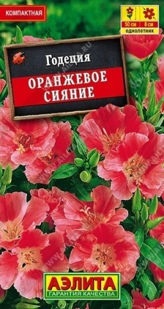 70f41b5d-dcea-11dd-9138-00500454e615-1 70f41b5d-dcea-11dd-9138-00500454e615-1