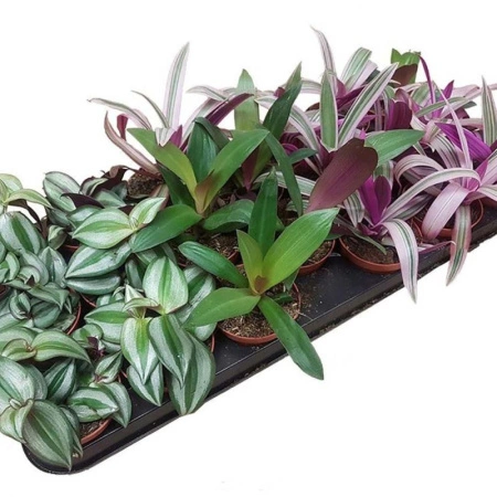 6c1578b5-6dad-11ee-ae0a-001e673ebdea-1