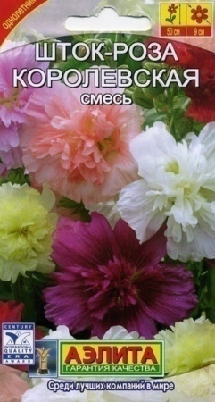 ad572968-dcea-11dd-9138-00500454e615-2