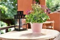 050068d4-6831-11ee-ae0a-001e673ebdea-1