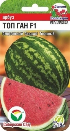 dd4537b9-3367-11e9-b36c-005056c00008-1 dd4537b9-3367-11e9-b36c-005056c00008-1