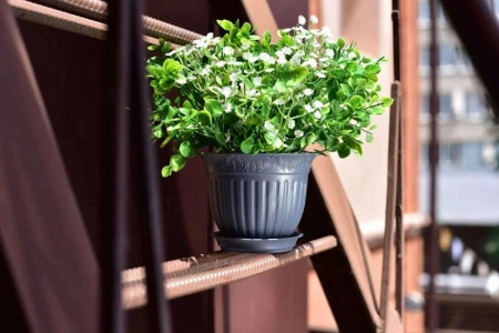 69d02211-580a-11ed-aea3-001e673ebdea-1