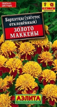 6a97b4e2-dcea-11dd-9138-00500454e615-1