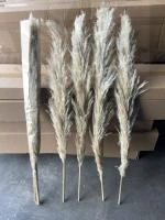 42d65682-9ce3-11ef-8912-246e9611e8f7-1