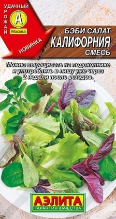 a1953599-08cd-11ec-a954-005056c00008-1