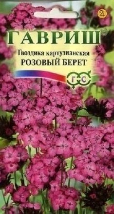 a79ec973-e7a5-11ea-86cc-005056c00008-2 a79ec973-e7a5-11ea-86cc-005056c00008-2