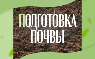 Как подготовить почву к посадке семян? Как подготовить почву к посадке семян?