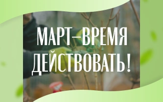 Подготовка участка к посадочному сезону Подготовка участка к посадочному сезону